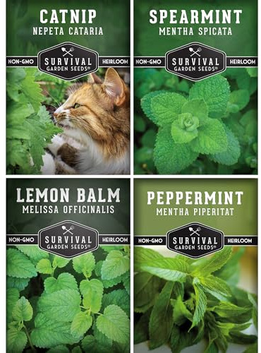 Survival Garden Seeds Mint Collection Seed Vault - Peppermint, Spearmint, Lemon Balm and Catnip Seeds - Grow Herbal Tea & Culinary Herbs - Non-GMO Heirloom Herbs for Outdoor and Indoor Gardens