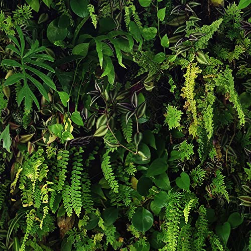 World of Wallpaper Kew Living Wall, Lightly Textured, Green/Black (66119) | Easy to apply wallcovering, Tropical, Matte, Feature Wall, Foliage, Ochre, Bedroom, Hallway (10.05m x 53cm roll)