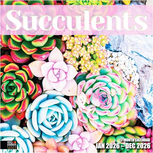 RED EMBER Select - Succulents 2026 Wall Calendar 12 Month | 12 x 24 Open | Thick & Sturdy Paper | Giftable | Calendar 2026