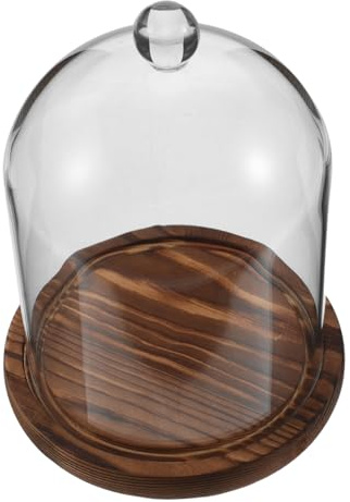 MAGICLULU Cloche Verre Transparente avec Socle Vintage Boîte Dexposition Poussière pour Fleurs Bougies et Décorations