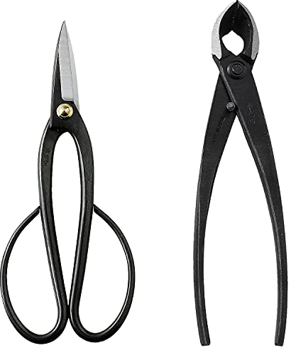 Wazakura Kit Outils Essentiels pour Bonsaï et Jardinage Japonais Fabriqué au Japon, Ciseaux à Bonsaï Ashinaga 200mm avec Coupe Branches Concave 200mm