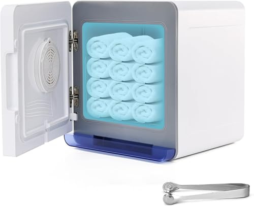 HomdMarket 8L Hot Towel Warmer Cabinet, 3 In 1 Professional Towel Heater with LED Temperature Display Setting and Aroma Box for Spa, Massage, Salon and Nail Art