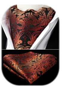 HISDERN Krawattenschal Herren Hochzeit Punkt Halstuch Taschentuch Paisley Business Ascot Krawatte und Einstecktuch Set
