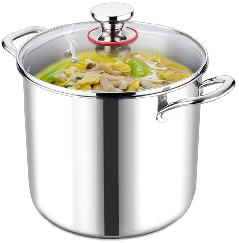 LIANYU Olla de 10 cuartos con tapa, olla de sopa de acero inoxidable 18/10 de 10 cuartos de galón, olla grande de tres capas para conservas, olla grande y profunda para cocinar, olla de inducción