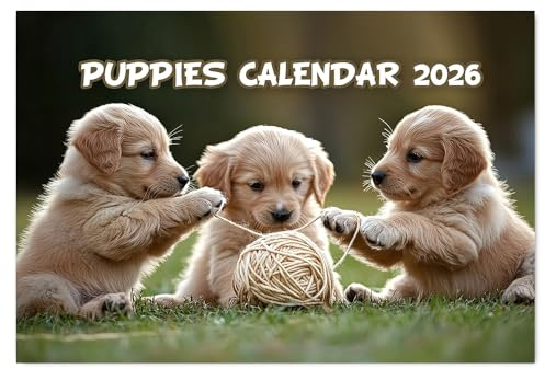 A4 Cute Puppies Calendar 2026 12 Month to View Wall Calendar 2026 Calendar Dog A3 When Open Papa Prints