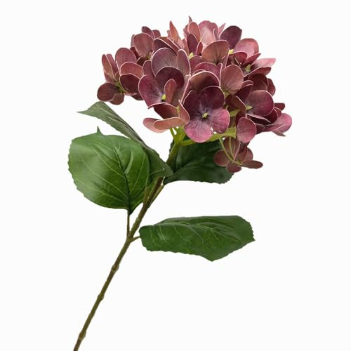 forestmistry 5pcs 3D Print Lifelike Hortensia Branch Realistic Artificial Big Latex Hydrangea Flower (AUTUMN)