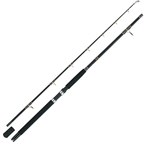 WFT Oceanic Tidec 30lbs 2,10m