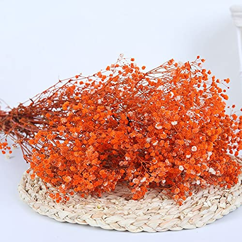 YIWOYI Natürliche Trockenblume, Schleierkraut, frisch getrocknet, getrocknete Blumen, Blumensträuße für Hochzeit, Party, Heimdekoration, 30 - 40 cm, 30 g, Orange