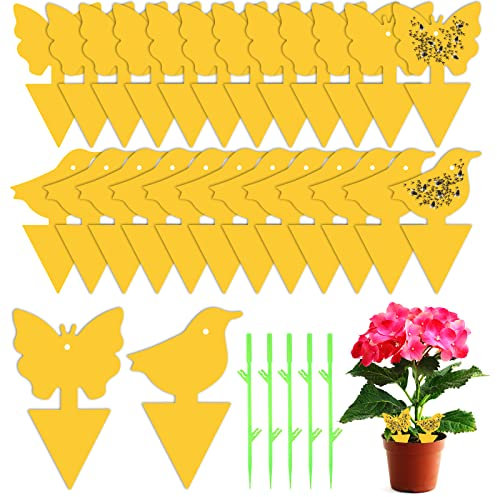 Fruit Fly Trap, 24 PCS Yellow Sticky Fly Traps Killer Fungus Gnat Sticky Traps, Double-Sided Fly Catchers for Protect Plants and Control Indoor Plant Bug, Fly Paper for Flies Mosquitoes Fungus Gnats