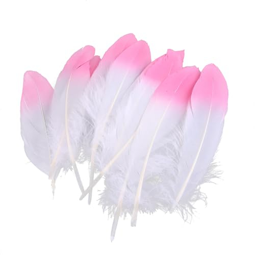ihreesy 10 Stück Natürliche Weiße Federn mit in Rosa Rot Getränkter Spitze, 4.5cm-10cm Natürliche Gänsefeder Dekofedern Zum Basteln DIY Bastelfedern Naturfedern für Kostüme Hüte Zuhause Dekor
