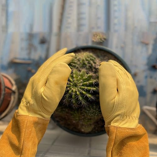 Gants de jardinage en cuir résistant aux épines pour élagage des rose/mûres/cactus - Cadeau de jardinage pour homme et femme (taille XL)