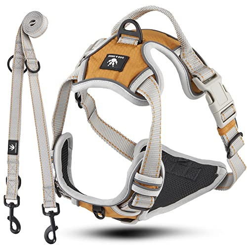 Dog & Dress Hundegeschirr & Hundeleine Set – Verstellbares, Gepolstertes & Reflektierendes Geschirr für Hunde – Atmungsaktives Hundezubehör für große & mittelgroße Hunde - Gold, L 71-86cm Brustumfang