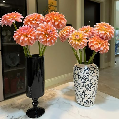 tuberi di dalia - esotiche resistenti giardino interno, balcone 2pcs