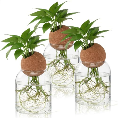 Baderke 3 Pcs 3.94 Inches Glass Plant Propagation Stations with Spherical Lid Glass Jars Plant Propagation Vases Hydroponic Spherical Cork Planter for Indoor Home Office Desktop Decor(Cylinder)