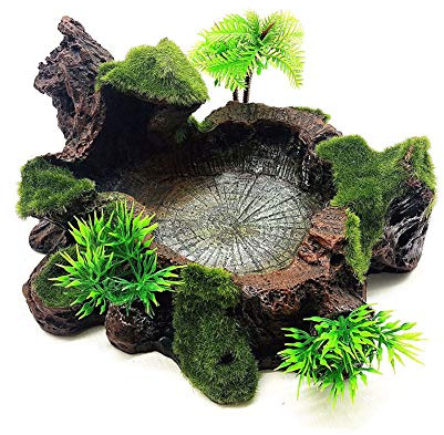 Gamelle en résine pour reptiles - Pour nourriture et eau - Décoration d'habitat - Terrarium - Bassin d'eau