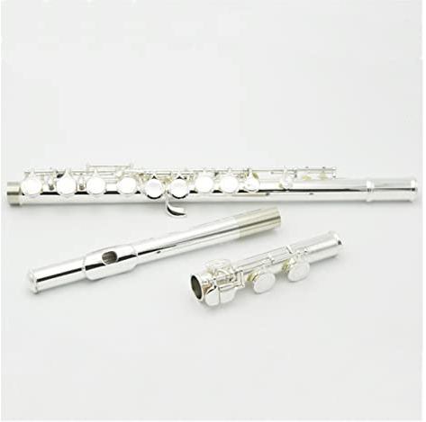 TSTS 16-Loch Geschlossene Versilberte Querflöte Mit E-Klappe C-Melodie Querflöte Versilberte Querflöte Für Anfänger Einsteiger Querflöten