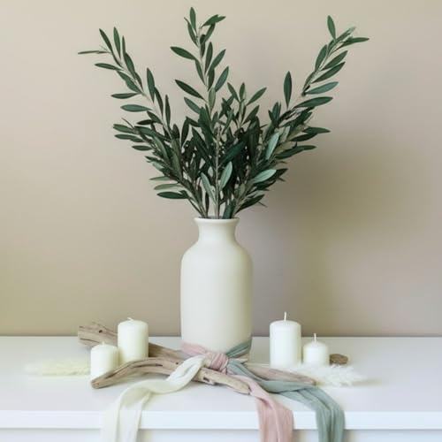 Vrai Branche d'Olivier Frais Stabilisé Naturel Rameaux éternel Vert | Bouquet, Décoration Mariage