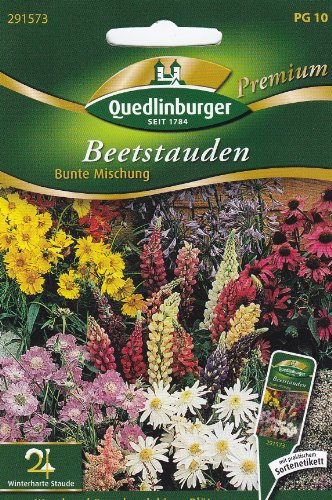 Beetstauden, Bunte Mischung