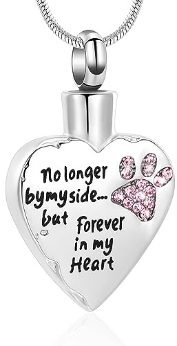 Minicremation Collana con urna per ceneri non più dal mio fianco, ma sempre nel mio cuore, con medaglione intagliato per ceneri di cani e gatti, Acciaio inossidabile Zirconia cubica Pietra, Zirconia