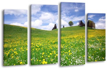 wandmotiv24 Leinwandbild Sommerwiese LW277 Wandbild, Bild auf Leinwand, 4 Teile, 180x100cm, Kunstdruck Canvas, XXL Bilder, Keilrahmenbild, fertig aufgespannt, Bild, Holzrahmen, Grün, ALM, Sommer,