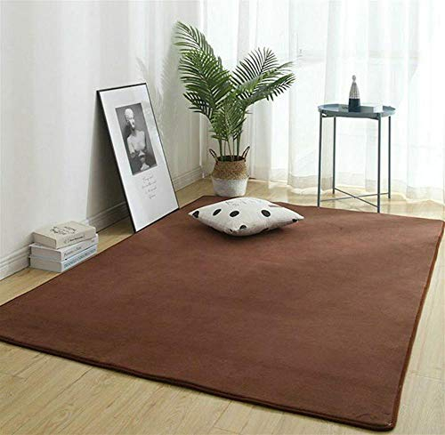 Korallenrote Samtmatte, Teppich, Als Krabbeldecke Fürs Kind, Spielmatte Baby Teppich Spielteppich Faltbarer Krabbelmatte, Yogamatte Und Übungsauflage Geeignet,Kaffee,200×300cm/6.5×9.8'