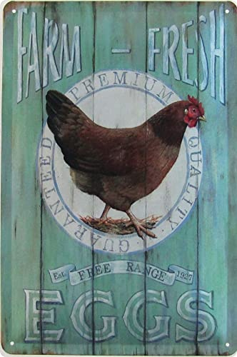 Metall Schild 20x30cm Farm Fresh Eggs Free Range Eier Hühner Blechschild