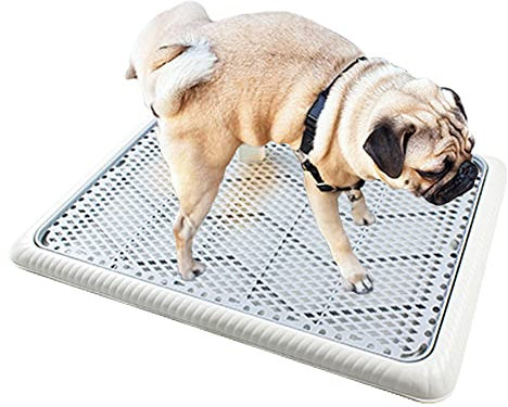 Hundetoilette Hunde WC Haustier Toilette Hundeklo Welpenklo Welpentoilette Hundeklo Puppy Mittlerer Hund Potty für Indoor Outdoor (65x48x5cm)