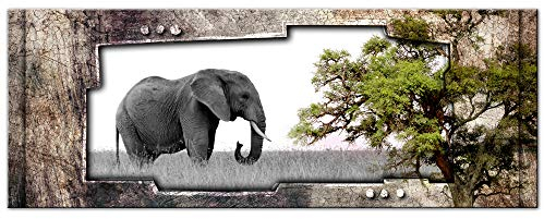 Bild aus Aluminium, Wanddekoration, Druck auf Alu-Dibond, Dekobild, Alu-Panel, Panoramabild Afrikanische Landschaft, Elefant, 120 x 50 cm