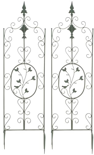 CLP Jeu de 2 treillages Burgus en Fer I Support pour Plantes grimpantes de Style Rustique, Couleur:Vert Antique
