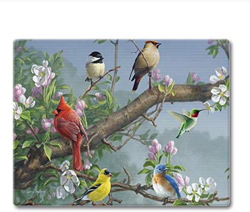 CounterArt Beautiful Songbirds 3mm Tempered Glass Cutting Board
