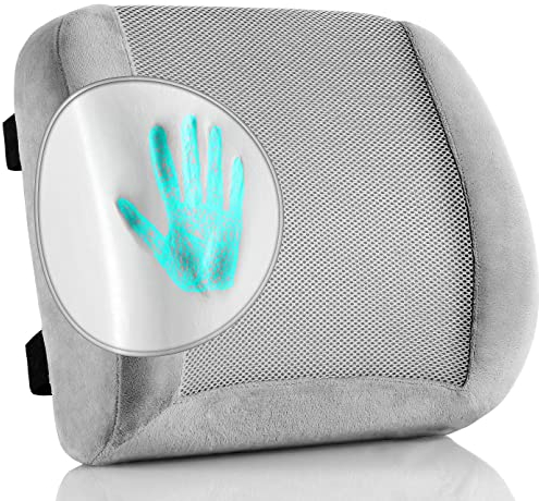 EDIMENS Lumbar Support Cushion, Memory Foam Ergonomic Back Cushion for Back Pain Relief, Lumbar Back Support Pillows with Dual Adjustable Straps and Breathable Mesh Cover for Office Chair, Car Seat