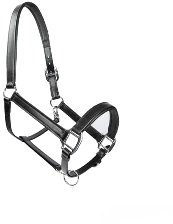 Lädergrimma (Pony, svart)