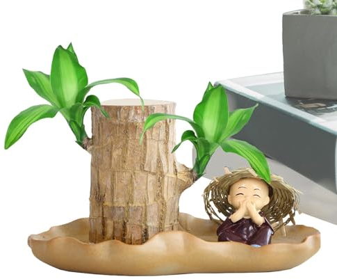 Brazilian Wood mit Topf und Figur, 2024 brasilianisches Glücksholz, echte brasilianische Glücksholzpflanze, glückliche Bambuspflanze für den Innenbereich, brasilianisches -Set