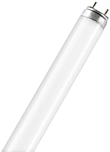 Osram Fluora T8 G13 L 15 W/77 Lampada fluorescente