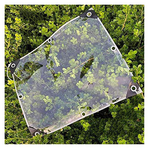 MYJIO Telo Occhiellato Trasparente Durevole Resistenza agli Agenti Atmosferici Telone in PVC Usato per Terrazza Tetto Posto Auto Coperto 0,5 Mm Antipioggia Impermeabile Telone, 22 Specifiche(2x4m)