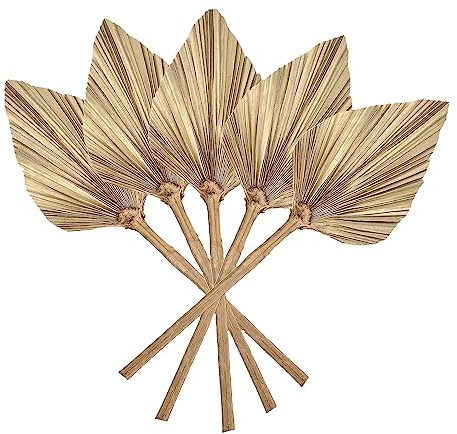 Asyduey 12 Piezas de Hojas de Palma Secas Naturales, DecoracióN de Hojas Secas Bohemias para DecoracióN de Bodas, Dormitorio, Cocina, Oficina, 10 X 40 cm