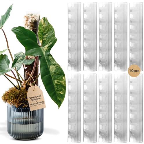 THICCLY V3 GrowPole - Front Opening, Stackable Plastic Moss Poles for Climbing Plants, Monstera Plant Support-Plant Climbing Pole, DIY Plant Support for Philodendron & Anthuriums (Medium 10 Pcs)