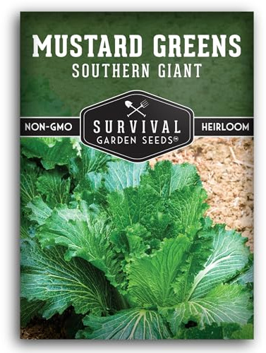 Southern Giant Mustard Green Seeds for Planting – Heirloom Non-GMO Spicy Greens, Heat Tolerant and Slow to Bolt for Home Vegetable Gardens - Survival Garden Seeds (1 Pack)