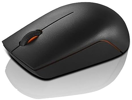Lenovo 300 Souris sans Fil compacte sans Fil Noir 3 Boutons 1000 DPI