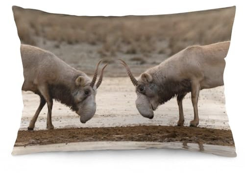 Zhimahou Kissenbezüge, 75 x 50 cm, Antilopen kämpfen in Steppe in der Nähe von Wasserloch, Winter, Stuhlkissen, Sofakissen, Sitzkissenbezüge, Bett-Kissenbezüge