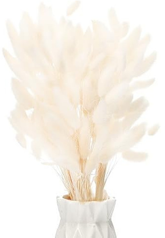 60 Stück Weiße getrocknete Pampas Gras Dekor, 17-Zoll Pompas Blumen, trockene Blumen für Dekoration, Pampas Gras in Schütte hohe, weiße Hasenschwänze getrocknete Blumen für Boho Hochzeit