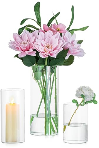 Glasseam Vasen Set Glasvase Zylinder: 3er Blumenvase Modern Vase Glas für Home Hochzeit Wohnzimmer Tischdeko - Glaszylinder Blumenvasen Windlicht Kerzenhalter für Kerzen Tulpen Rosen