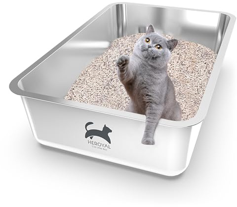 Katzenklo Edelstahl XXL mit DIY-Aufkleber, 20L Katzentoilette Edelstahl mit Deckel, Große Kapazität, Auslaufsicher&Spritzsicher, einfacher EIN- und Ausstieg, Einfach zu Reinigen, 60x40x15cm