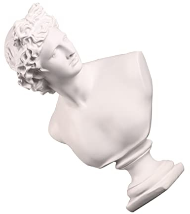 LIFKOME Davidkopf Skulptur Aus Gips Kunstharz 19x14x31cm Klassische Griechische Statue Heimdekoration Antikes Design Desktop Ornament Geschenkidee