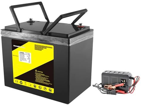 WILLQ Batería LiFePO4 de 12 voltios, batería de Litio de fosfato de Hierro y Litio 12V 50Ah 60Ah 90Ah con BMS 12,8V Recargable para RV Camping Carrito de Golf,with Charger,12V90Ah
