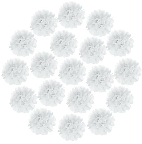 QUARKZMAN 20 Pompones De Papel De Seda 30cm Flores De Papel Blanco | Grandes Y Coloridas, Decoración Para Pared, Para Fiesta Cumpleaños Boda
