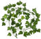 KARAT Planta artificial de hiedra artificial, 12 unidades, incluye bridas, longitud cada una, 2,15 m, planta artificial decorativa para pared, balcón y jardín