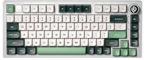 QPSJXN HI75 RGB Backlit Mechanical Keyboard With Metal Base Hot Swappable Gasket Structure PBT Keycaps And HIFI Sound(Misty Green-MDA)