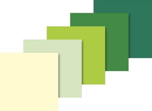 Heyda 203375739 - Carta velina, colori assortiti, 50 x 70 cm, 5 colori assortiti (francese vaniglia, verde pastello, verde chiaro, verde medio, verde scuro)