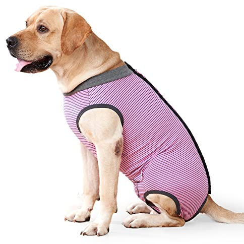 HEYWEAN Body Cane Post Operatorio Femmina Tutina Pigiama per Cani Tuta Post Operatoria Intervento Body Chirurgico Cane Protezione Postoperatoria Vestito Cani